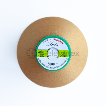 Нитка для машинної вишивки IRIS 40N (col. 2953). Фото 2